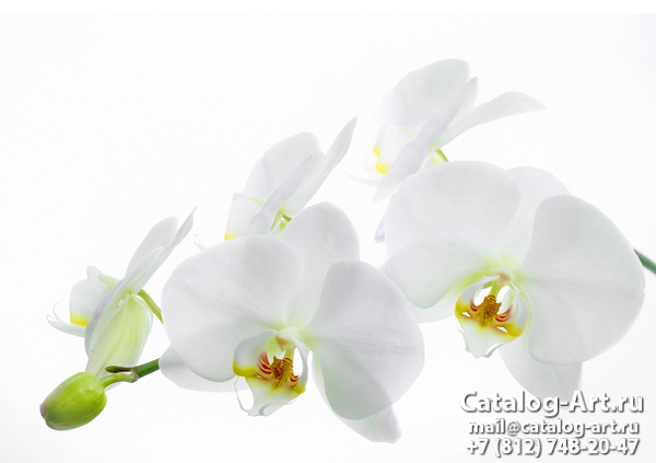 картинки для фотопечати на потолках, идеи, фото, образцы - Потолки с фотопечатью - Белые орхидеи 36